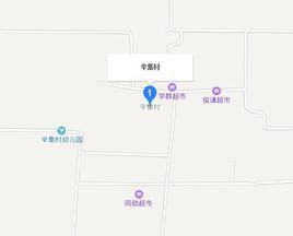 辛集村[河北省邢台市巨鹿縣張王疃鄉下轄村]