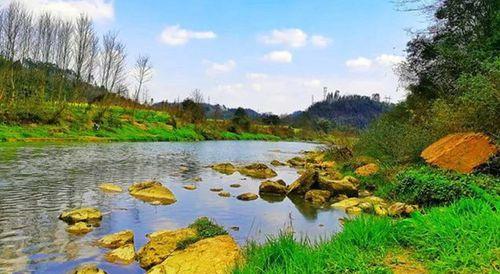 安仁葡萄產地環境