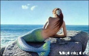 Es Ist Ein Schnee Gefallen[德國中世紀民謠]