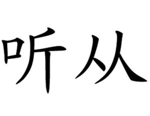 聽從 聽從