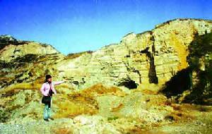 （圖）定陵[唐]