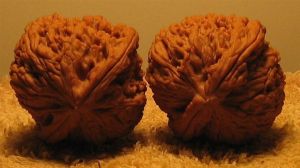 南疆石尖部特點