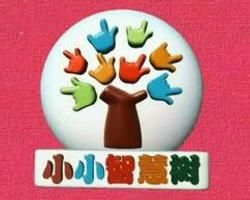 《小小智慧樹》