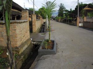 曼景灣村 曼景灣村