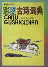 彩圖詞典系列全套九本 彩圖詞典系列全套九本