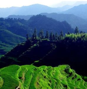 九萬山自然保護區