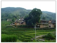 番寨自然村 番寨自然村