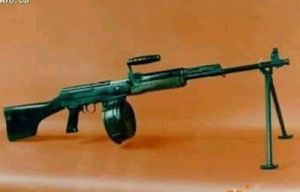 1981年式7.62毫米輕機槍 1981年式7.62毫米輕機槍
