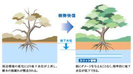 地下水位高 地下水位高