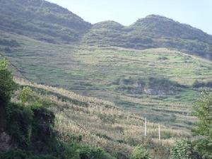 老包自然村[鎮雄縣塘房鎮下轄自然村]