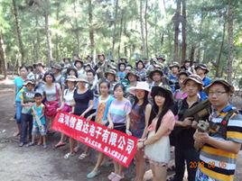 深圳信盈達電子有限公司 深圳信盈達電子有限公司