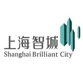 上海智城 上海智城