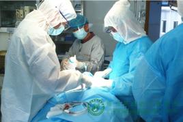 半喉切除術 半喉切除術