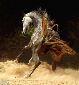 一馬平川 一馬平川