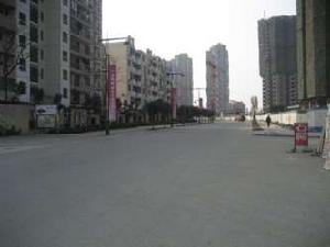 卓錦城三期 卓錦城三期