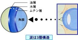 淚液透鏡 淚液透鏡