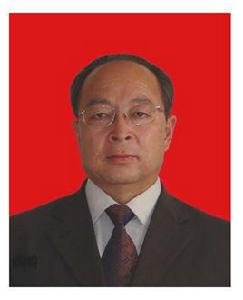 王雲峰[西北大學副教授]