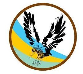 飛鷹隊[由少年組成的組織]