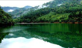 江西陽嶺國家森林公園 江西陽嶺國家森林公園