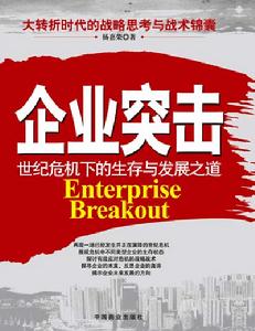 企業突擊 企業突擊