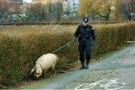 地震災後搜救 地震災後搜救