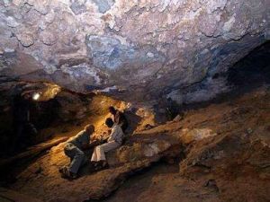 維羅恩斯化石遺址 維羅恩斯化石遺址