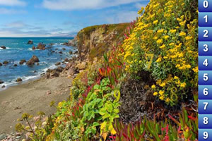 陽光森林找數字 陽光森林找數字