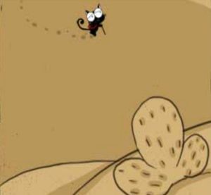 UP喵之喵了個瓜 UP喵之喵了個瓜