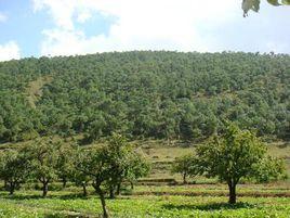 落水村[雲南曲靖市會澤縣娜姑鎮落水村]