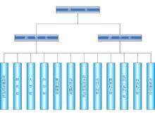 機構設定及職能分工