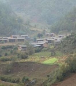 大壩頭自然村 大壩頭自然村