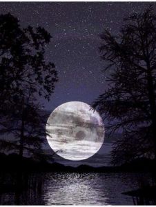 銀色月光下 銀色月光下