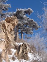 日月峽國家森林公園拱北峰奇松異石