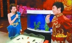 傅琰東與董卿搭檔