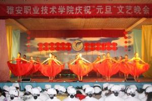 學生處主辦的雅安職業技術學院