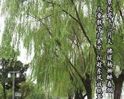 清風公園 清風公園