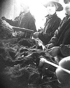 頭髮醬油 頭髮醬油