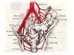 直腸前突 直腸前突