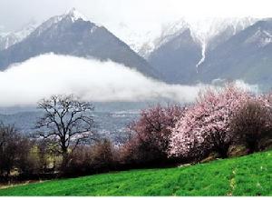 西藏易貢國家地質公園-----自然環境