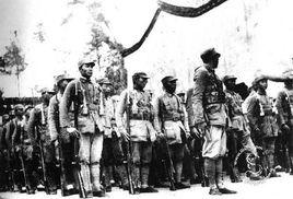 新四軍教導總隊 新四軍教導總隊