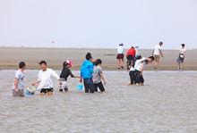 東台弶港條子泥景區高清組圖1