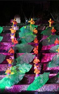 印象大紅袍 印象大紅袍