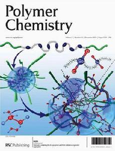 雜鏈高聚物 雜鏈高聚物
