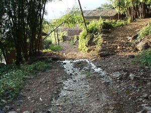 蠻別自然村 蠻別自然村