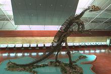 龍城[諸城別名]