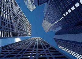 目標資本結構 目標資本結構