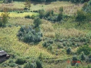 阿黑場村 阿黑場村