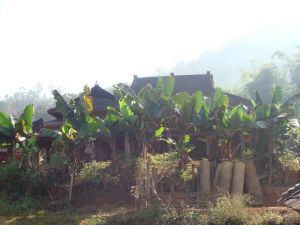 曼捌自然村 曼捌自然村