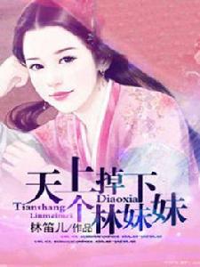 小說天上掉下個林妹妹 小說天上掉下個林妹妹