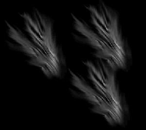 虛無吞炎 虛無吞炎